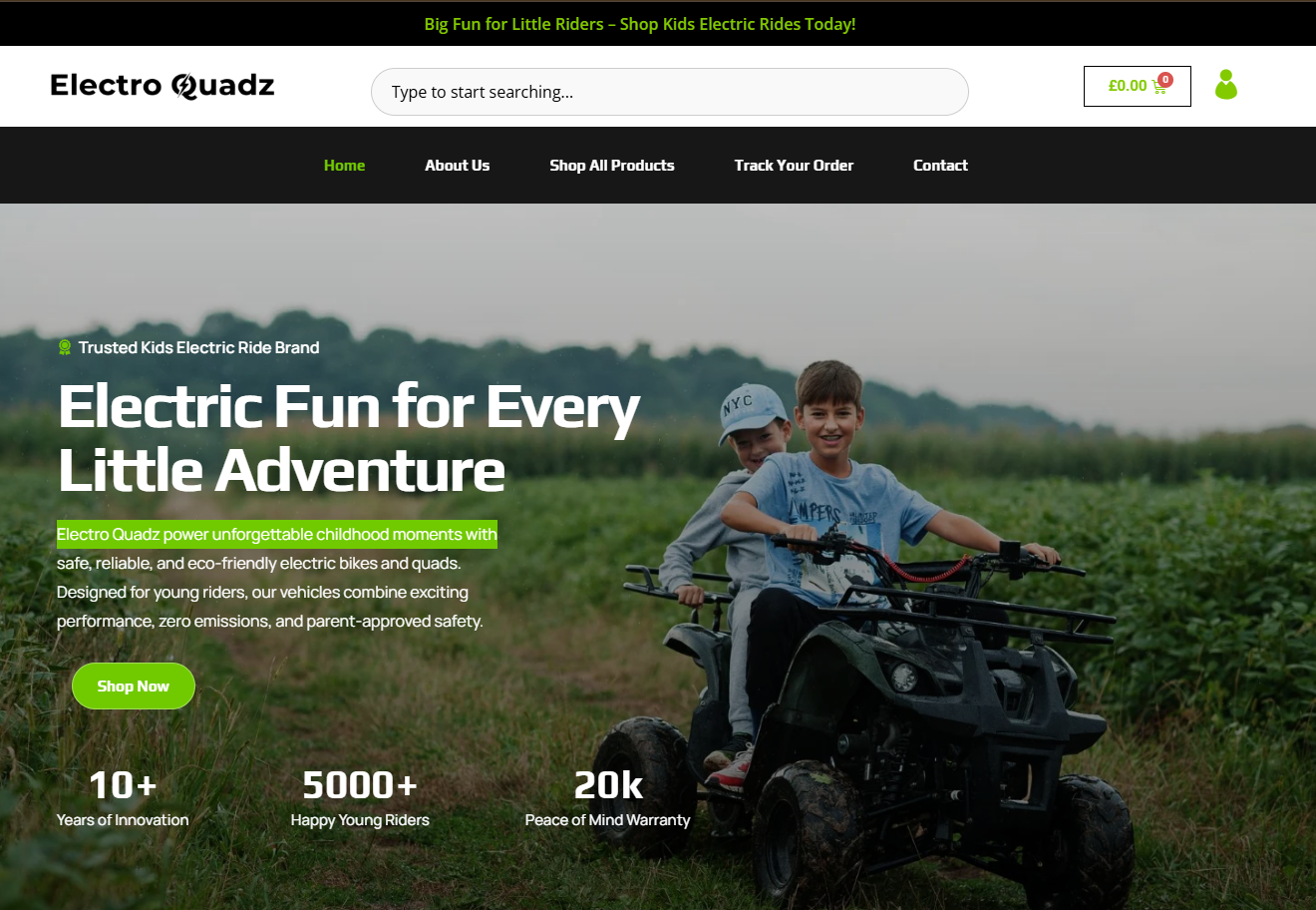 Electro Quadz website preview